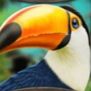 Blue Panther: Toucan