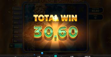 Bonsai Dragon Blitz Dream Drop: Winnings