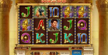 Book of Dead: Winnings