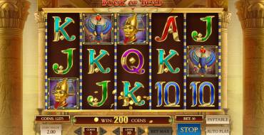 Book of Dead: Winnings