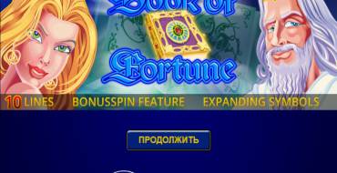Book of Fortune: Slot machine