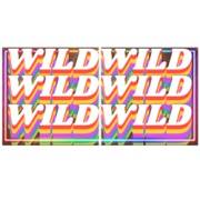 Booze Bash: Wild