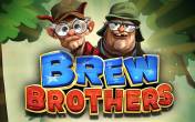 Brew Brothers (Slotmill)