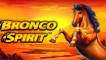 Bronco Spirit