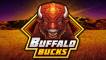 Buffalo Bucks