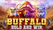 Buffalo Hold And Win