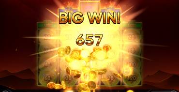 Burning Coins 20: Winnings