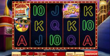 Cat in Vegas: Pictures