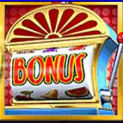 Cat in Vegas: Bonus symbol