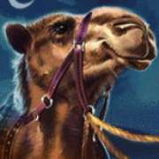Camel symbol in 10 001 Nights MegaWays slot