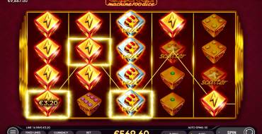 Chance Machine 100 Dice: Winnings