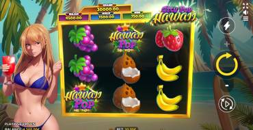 City Pop Hawaii: Interface