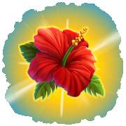 City Pop Hawaii: Red lotus