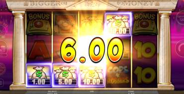 Cops`n`Robbers Bigger Big Money: Winnings