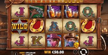 Cowboy's Gold: Winnings