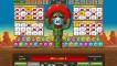 Crazy Cactus Bingo