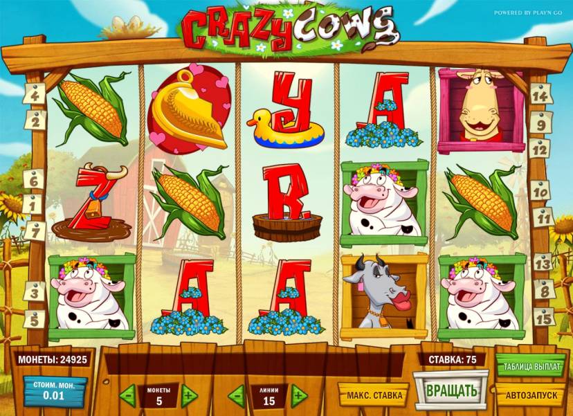Crazy Cows slot