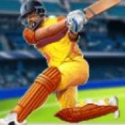 Cricket Mania: Feeder