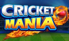 Play Cricket Mania
