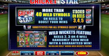 Cricket Star: Features
