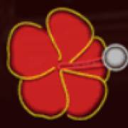 Cuba Caliente: Flower