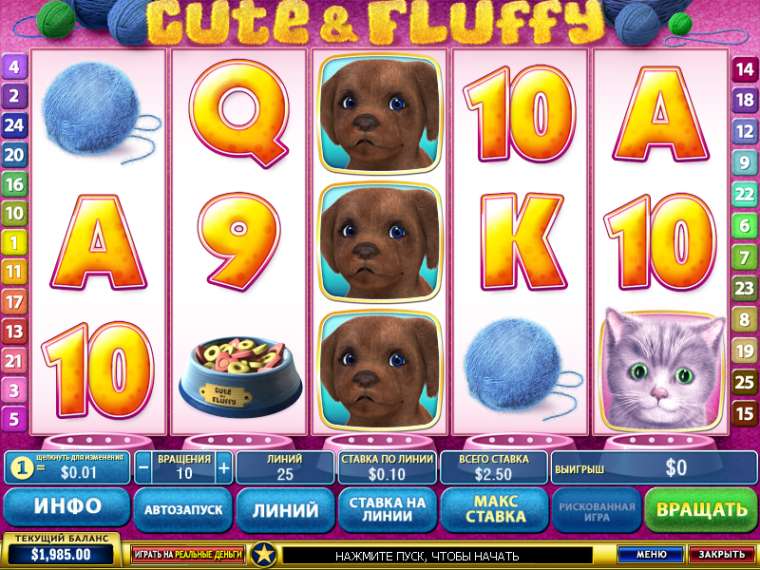 Play Cute and Fluffy slot