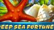 Deep Sea Fortune