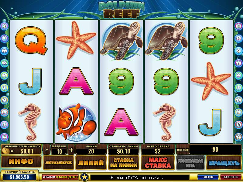 Dolphin Reef slot