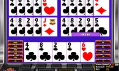 Play Double Jackpot Poker