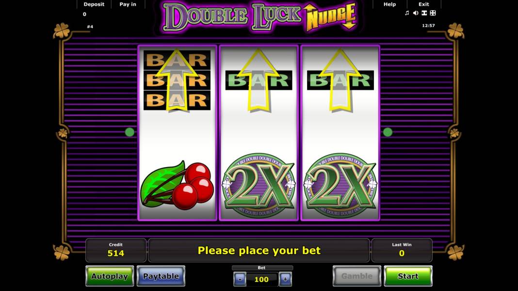 Double Luck Nudge slot