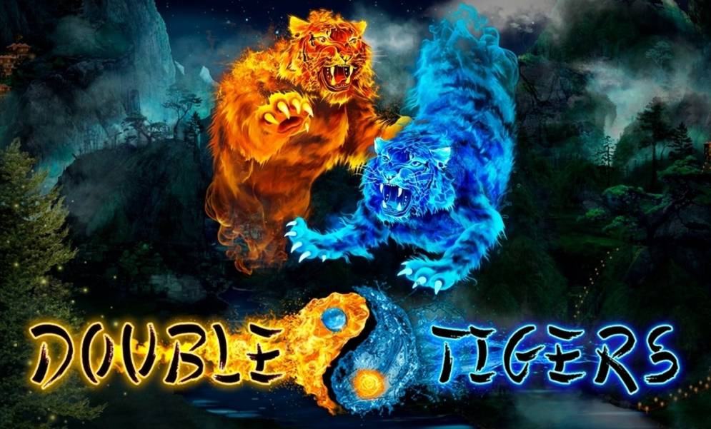 Double Tigers slot