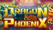 Dragon vs Phoenix