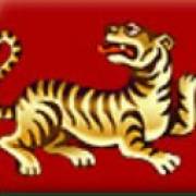 Dragons Pearl: Tiger