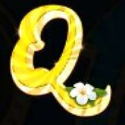 Q symbol in Summer Chill slot