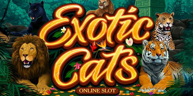 Play Exotic Cats slot