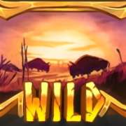 Wild symbol in Beasts of Fire slot