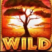 Wild symbol in The Ultimate 5 slot