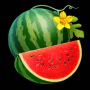 Fiery Slots Cash Mesh Ultra Dice: Watermelon