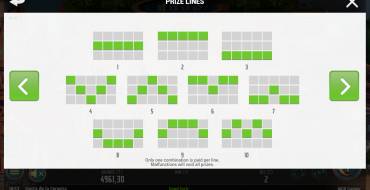 Fiesta De La Cerveza: Lines, combinations for which bonuses are awarded