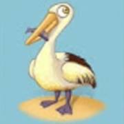 Fishin Frenzy: Seagull