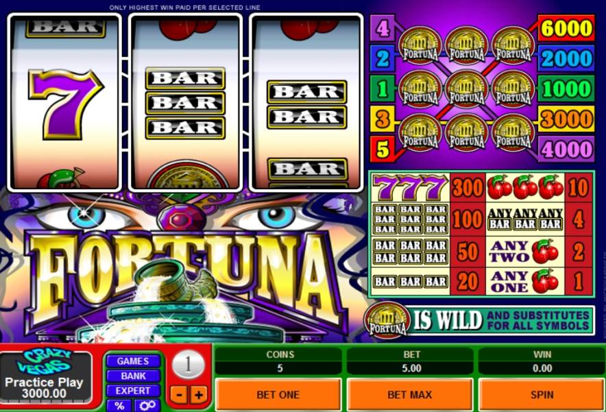 Fortuna slot
