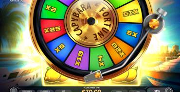 Fortune Capybara: Bonus games
