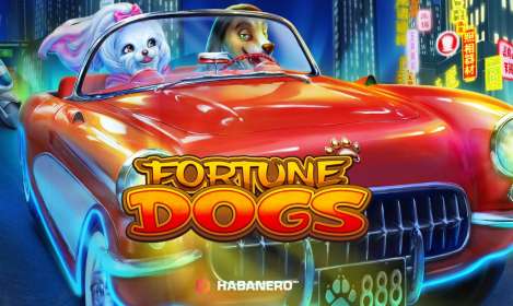 Fortune Dogs (Habanero)