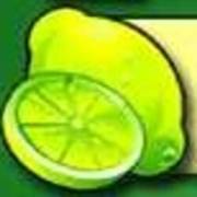 Fruit Fiesta 5 Reel - Progressive: Lime