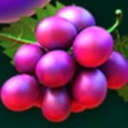 Fruit Loop: Grapes