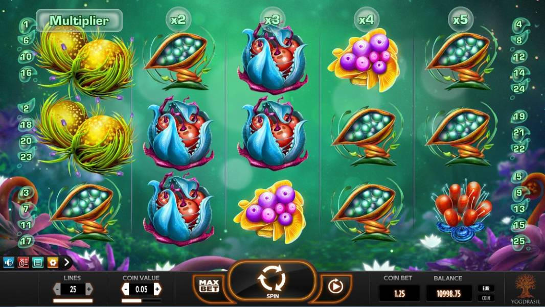 Fruitoids slot