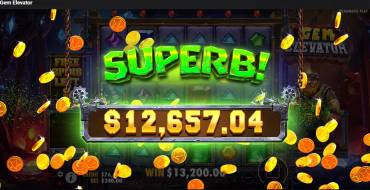 Gem Elevator: Winnings