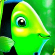 Gold Fish Feeding Time Treasure: Greenfish