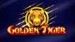 Golden Tiger
