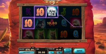 Grand Bison: Winnings